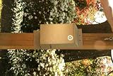 New Songbird Essentials Recycled Plastic Bat House Driftwood For 150 Bats Easy Clean Disinfect