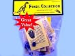 12 Fossil Collection