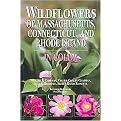 Wildflowers of Massachusetts, Connecticut, and Rhode Island in Color (Paperback)