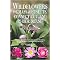 Wildflowers of Massachusetts, Connecticut, and Rhode Island in Color (Paperback)