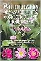 Wildflowers of Massachusetts, Connecticut, and Rhode Island in Color (Paperback)