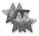 Nippies Dark Silver Sequin Satin Star Waterproof Self Adhesive Fabric Nipple Cover Pasties