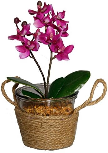 Alilaw Artificial Potted Plant, Orchid in Seagrass Basket, 10 Inch