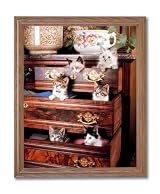 Kitty Cat Kittens Playing Kids Room Animal Home Decor Wall Picture Oak Framed Art Print