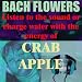 Crab Apple - (Listen to the sound or charge water with the energy of Crab Apple)