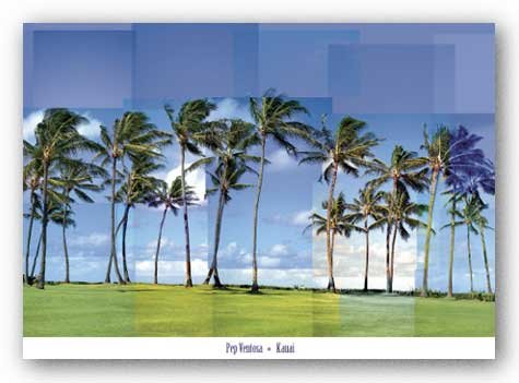 Kauai by Pep Ventosa 36"x24" Art Print Poster