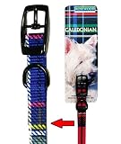 (Rosewood) Caledonian Dog Collar 12" x 3/8" (Blue)