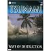 ABC News: Tsunami - Wave of Destruction