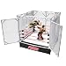 WWE- Spring Cage Ring