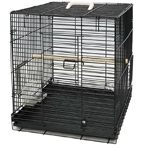 Bird Cages : Bird Carrier CFDS-TC181920-1700