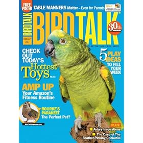 Bird Talk (1-year)