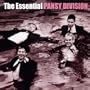 Essential Pansy Division