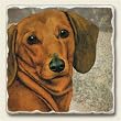 AbsorbaStone Tumbled Tile Coaster set ~ Dachshund ~ 4 Tile Drink Coasters ~ c...