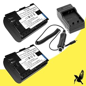 Two Halcyon 2400 mAH Lithium Ion Replacement Battery and Charger Kit for Canon EOS 5D Mark II 22.0 MP Digital SLR Camera and Canon LP-E6
