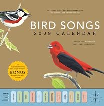 Bird Songs 2009 Wall Calendar
