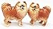 1 X Pom Pom Golden Groomed Pomeranian Attractives Magnetic Salt Pepper Shakers