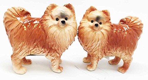 1 X Pom Pom Golden Groomed Pomeranian Attractives Magnetic Salt Pepper Shakers