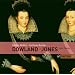 Dowland/Jones: Lute Songs