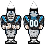 Carolina Panthers Official Logo Player Windsock