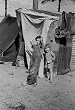 Children at a Resettlement Camp, Winter Haven, Florida, 1937 Photograph - Beautiful 16x20-inch Photographic Print from the Library of Congress Collection