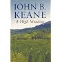 A High Meadow