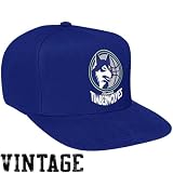 Minnesota Timberwolves Mitchell & Ness Vintage Basic Logo Blue Snap Back Hat