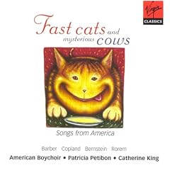 Fast Cats & Mysterious Cows-Songs From America