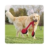 Doggles DOTYTPSM-13 Tri Pull Red Small