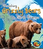 Watching grizzly bears in North America