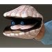 Folkmanis Scallop Puppet