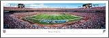 NFL Miami Dolphins Framed Panoramic Stadium Photo