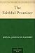 Books : The Faithful Promiser