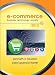 E-Commerce 2012 (8th Edition)