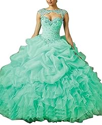 Sexy Scoop Neck Wrap Sleeveless  Organza  Ball Gown Prom Dress/Quinceanera Dress 