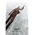 James Bond 007 - Ein Quantum Trost - Teaser Poster (91 x 61cm)