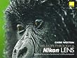 Wildlife Through a Nikon Lens: Revealing the Secrets of Professional Wildlife Photography