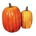 Search : Tall Squash Decoration - 11.5