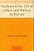 Incidents in the Life of a Slave Girl Written by Herself