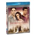 Breaking Dawn - Parte 1 - The Twilight Saga (SE)