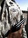 The Enlisted Fleet Marine Force Warfare Specialist Pin Photographic Poster Print by S...