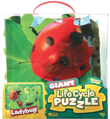 Insect Lore Ladybug Giant Life Cycle Puzzle Insect Lore Ladybug Giant Life Cycle Puzzle