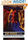 Gay Voices of the Harlem Renaissance (Blacks in the Diaspora)