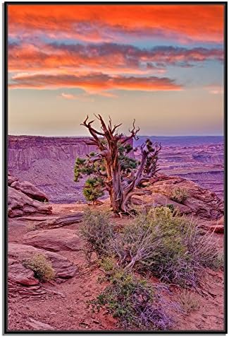 Sunrise Green River Overlook, Canyonlands National Park, Utah, USA - Original Landscape Photography Framed Metal Art Print for Office or Home Display, 21" by 31" with frame