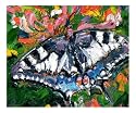Butterfly on Honeysuckle - Oil Painting Emerging Artists Giclee Poster Print by Ginette Callaway, 24x20