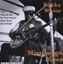Mississippi Blues