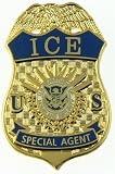 Immigration and Customs Enforcement Special Agent Mini Badge Lapel Pin
