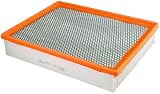 FRAM SynWash LLA8755A Long Life Air Filter