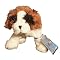 Webkinz Lil Saint Bernard with Trading Cards