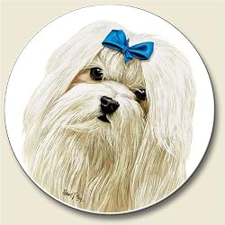 Maltese Coaster, Single Coaster for Your Car