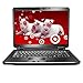 Electronics : iBuyPower Gaming Notebook Computer - CRZ-953X